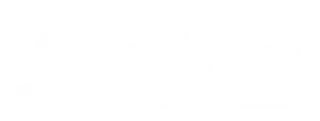 Salus logo